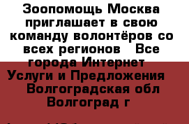 Зоопомощь.Москва приглашает в свою команду волонтёров со всех регионов - Все города Интернет » Услуги и Предложения   . Волгоградская обл.,Волгоград г.